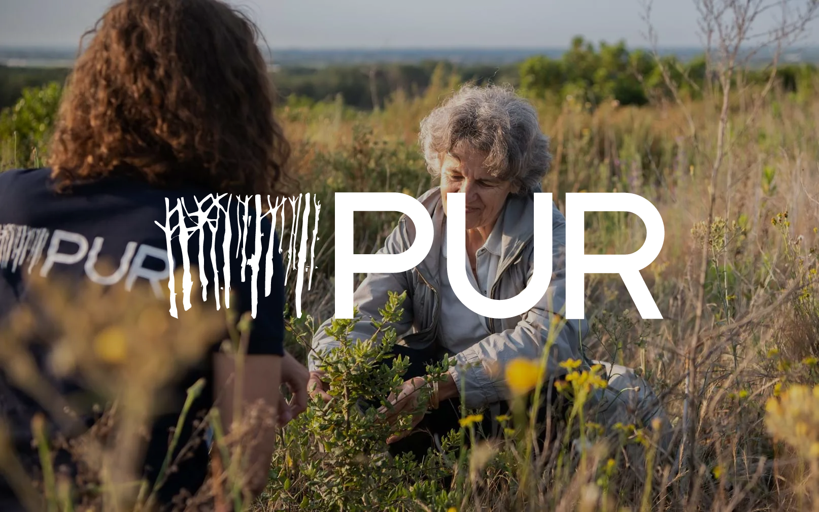 PUR Overlay Photo