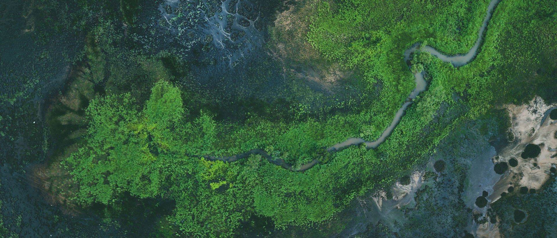 Generic Header 1 Aerial image of  water and greenery