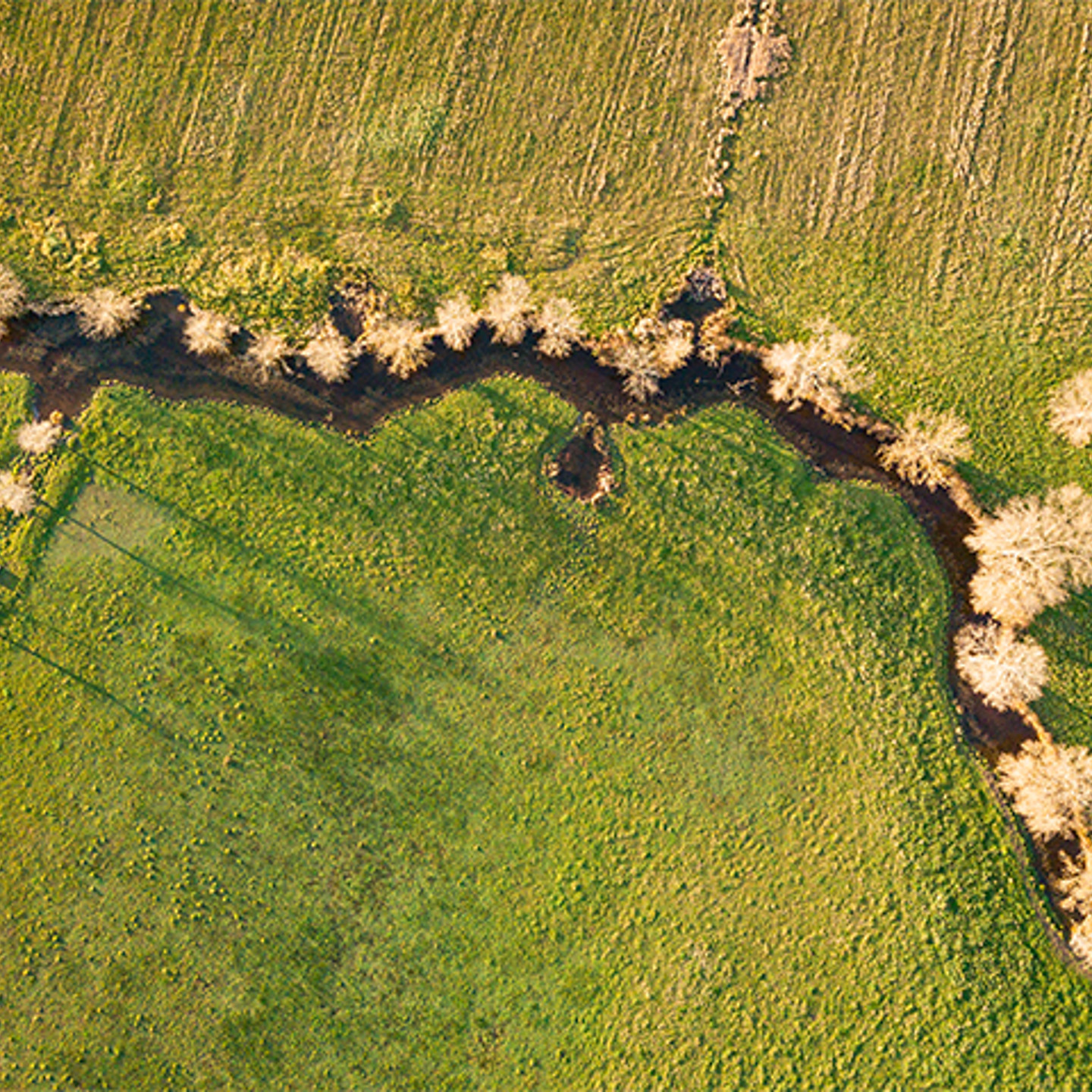 aerial image of a river running through fields